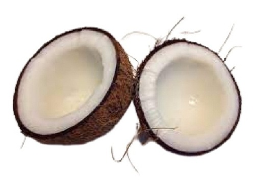 Common Brown Semi Husked Round Shape Fresh Coconut At Best Price In