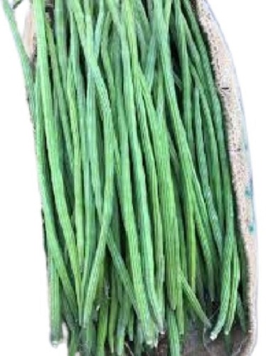 Fresh Long Shape Raw Green Drumstick Moisture 6 8 At Best Price