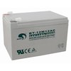 Maintenance Free UPS Battery (12V12Ah)