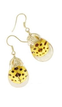 Real Insect Amber Earring