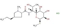 Lincomycin Hydrochlorides