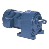 CPG Gear Motor