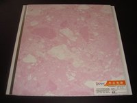 PVC Plastic Interior Design Ceilings