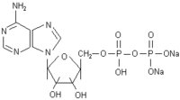 Adenosine Diphosphate Disodium
