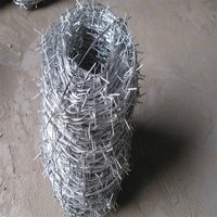 Barbed Wire