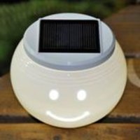 Decorative Outdoor Solar Lights