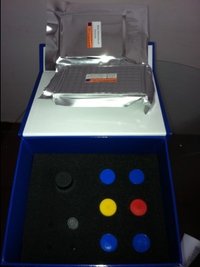 GOAT Estradiol(E2) ELISA Kit