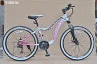26 Inch Steel Frame Shimano 6 Speed Basket Phoenix Bicycle For Women