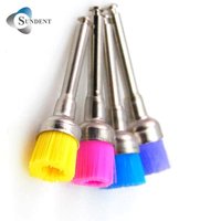 Prophy Brush