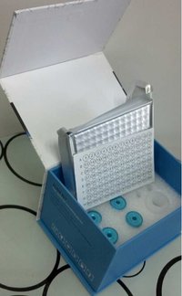 Human C-telopeptide of Type Ⅰ Collagen,CTX-Ⅰ ELISA Kit