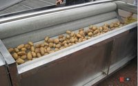 Fruit And Vegetable Brush Of Fruit Cleaning Machine
