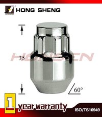 Truck Wheel Lock