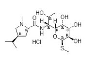 Lincomycin Hydrochloride