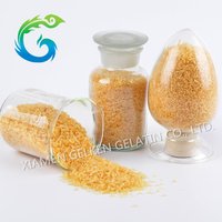 Pharmaceutical Use Gelatin For Capsules