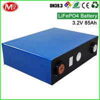 LiFePO4 Battery Cell