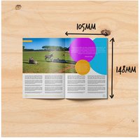Multiple Folding Brochure Printing Service