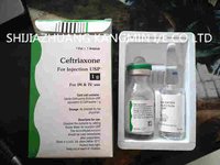 Injection Ceftriaxone
