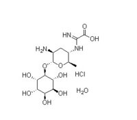 Kasugamycin Hydrochloride 19408-46-9 - Active Pharmaceutical Ingredients