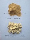 Astragalus Root Extract, Polysaccharides 50%