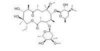 Clarithromycin (6-O-methyl Erythromycin)