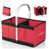 Collapsible Basket with Handle
