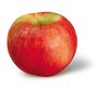 Apple Extract For Medicinal Use