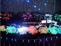 LED Holiday Light