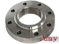 Dimensional Accuracy Pipe Flange