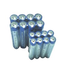 AA Alkaline Battery