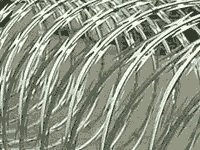 Barbed Wire Razor Barbed Wire