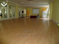 PVC Plastic Floor for Indoor