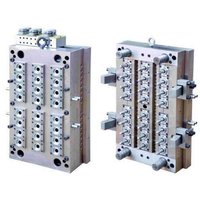 Plastic Injection Mold/Molding/Mould