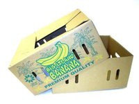 Fruit Carton Box