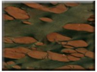 Chinese Marble