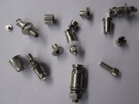 Stainless Steel Back Bolts