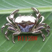 Bio-Jewelry Brooch Go Sideways