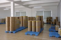 Choline Chloride 60%