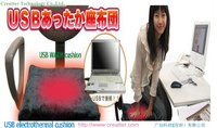 USB Warm Cushion