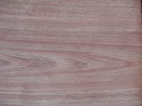 Oak Woodgrain Decorative Paper