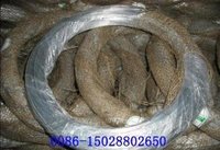 Galvanized Iron Wires