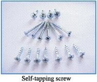 Self Tapping Screws