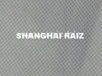 Mesh Fabric USA Type (Me071001)