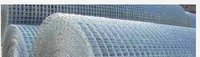 Galvanized Welded Wire Mesh