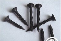 Drywall Screws