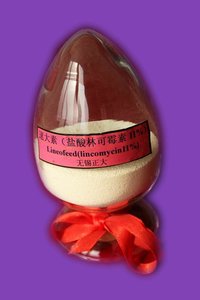 Lincofeed (Lincomycin Hydrochloride Premix)