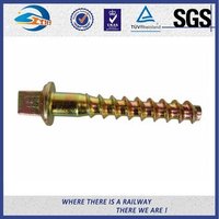 Rail Screw Spikes Railway Fasteners