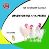 Colistin Sulfate Premix