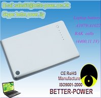 BAK Cells Battery For A1079/A1022/A1060