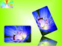 ID Plastic Card Printing