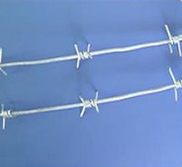 Barbed Wires